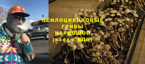ECSTASY Абаза