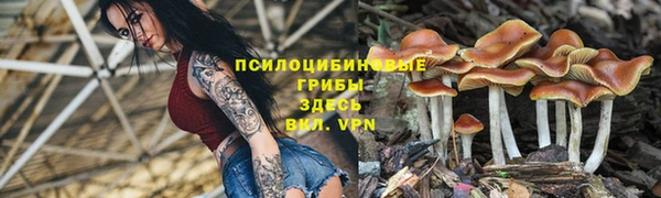 а пвп мука Абдулино