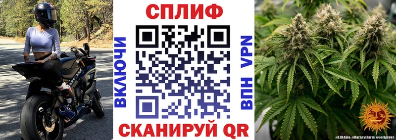 Бошки Шишки White Widow  магазин продажи наркотиков  Усть-Катав 